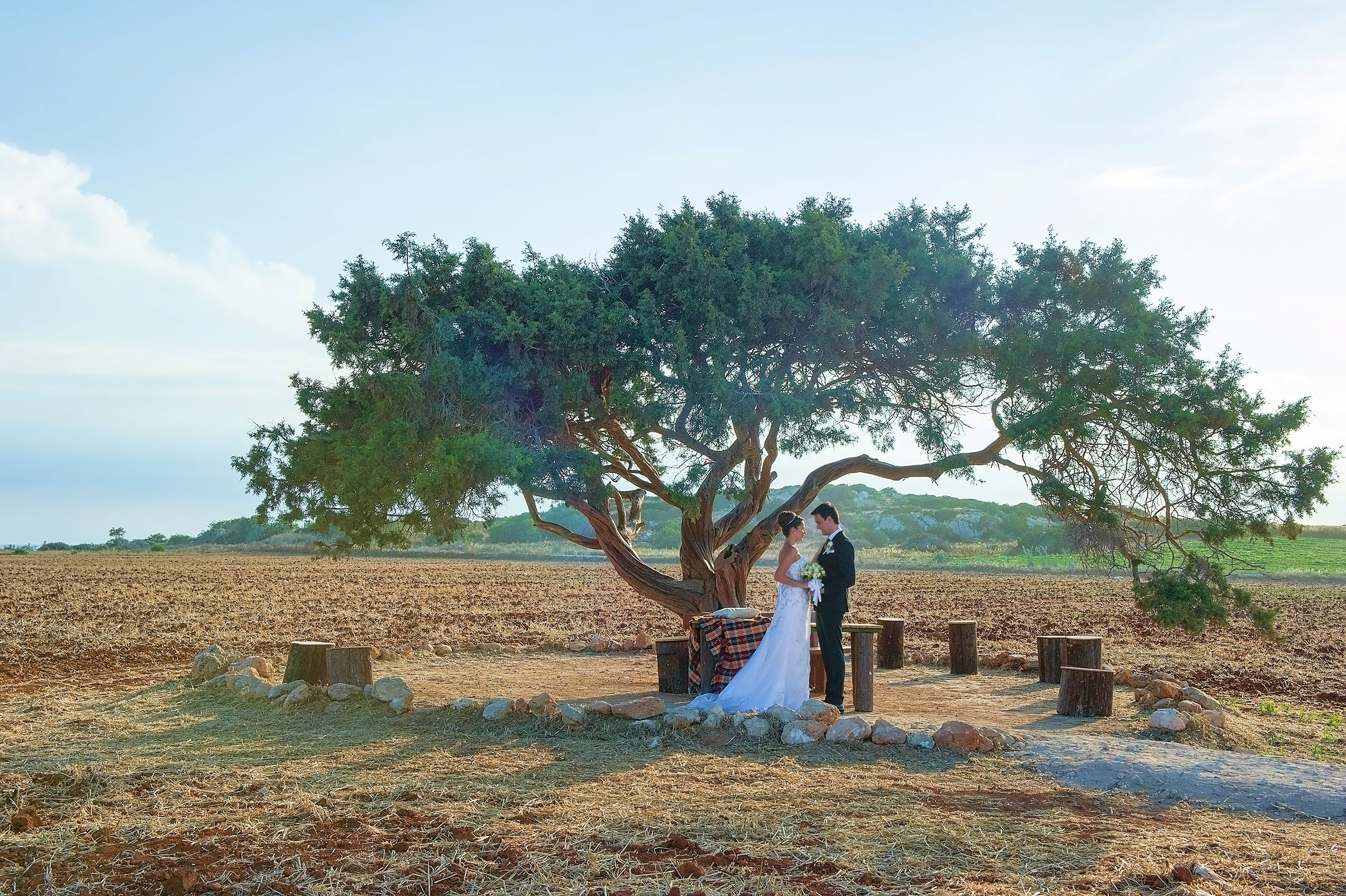 Venue Aoratos (Juniper Tree)