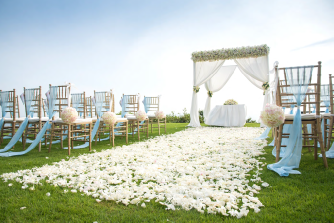 Mediterranean Lawn